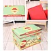 storage box,storage organizer,non-woven fabric